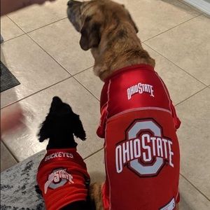 Meet your Posher, Robin